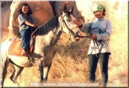 Anatolian Native Pony