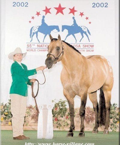 Appaloosa