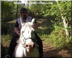 Arabo-Boulonnais