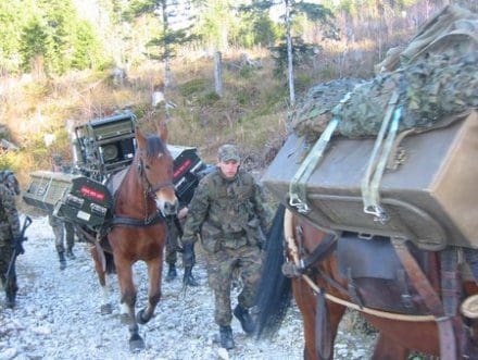 Soldat à Cheval Starlux - Armée Suisse - 1:32 (60mm) - Plastique Peint - France