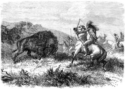 Chasse au bison